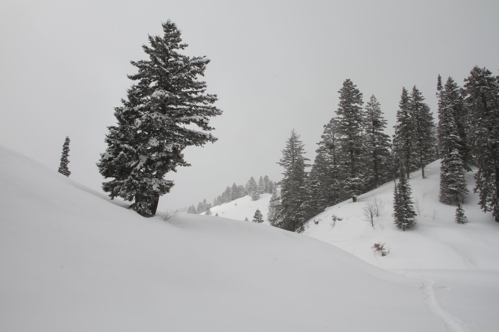 Snowpack levels in Idaho mountains were well above normal following a series of storms that brought much-needed moisture to most of the state. 