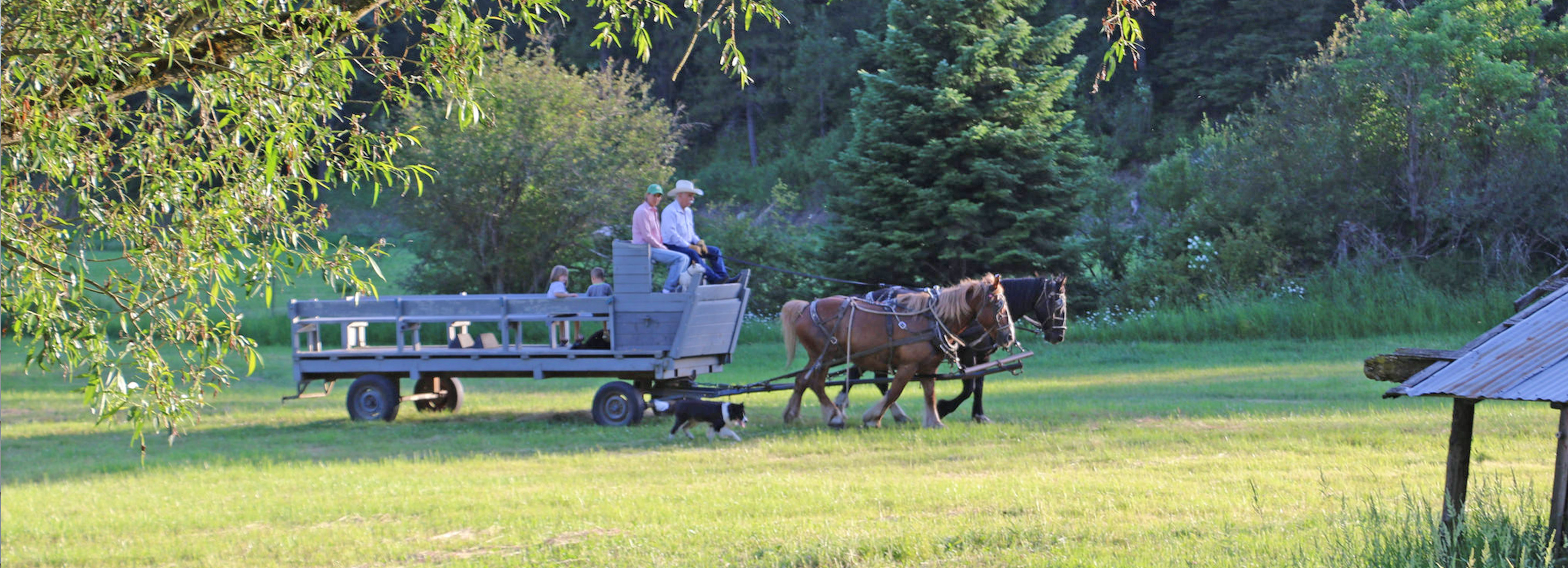 Idaho Farm Bureau Federation