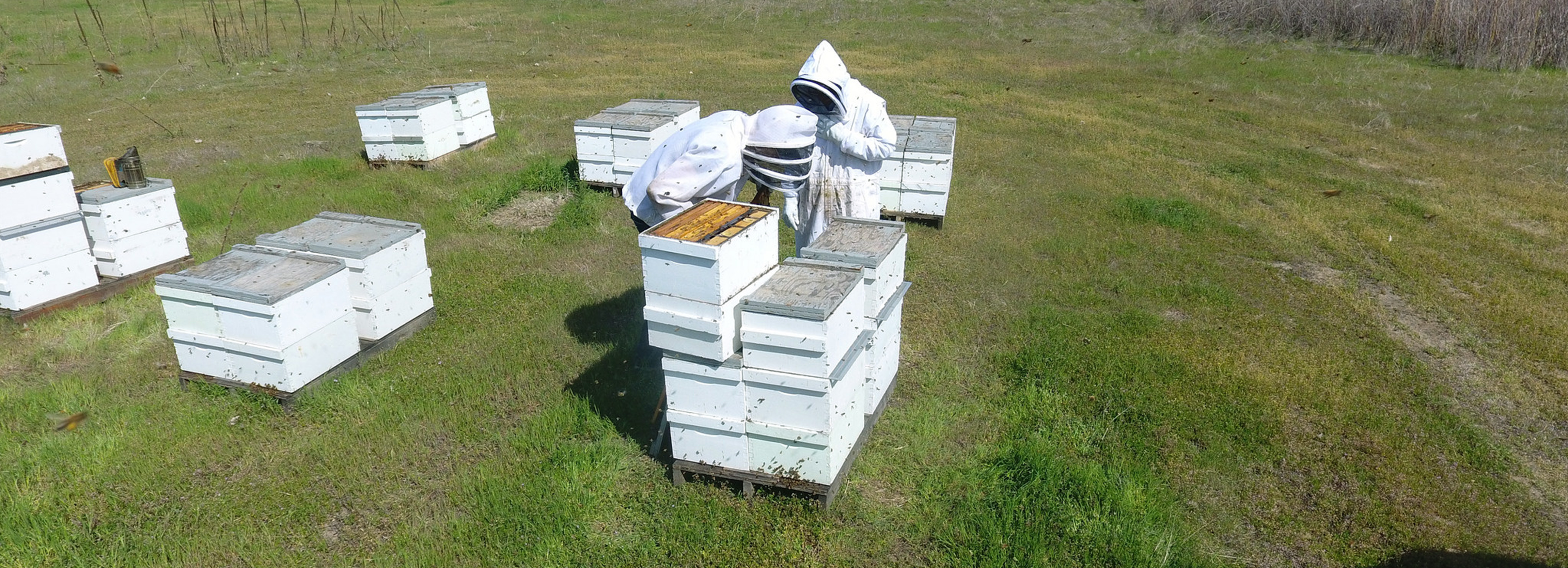 Idaho Farm Bureau Federation