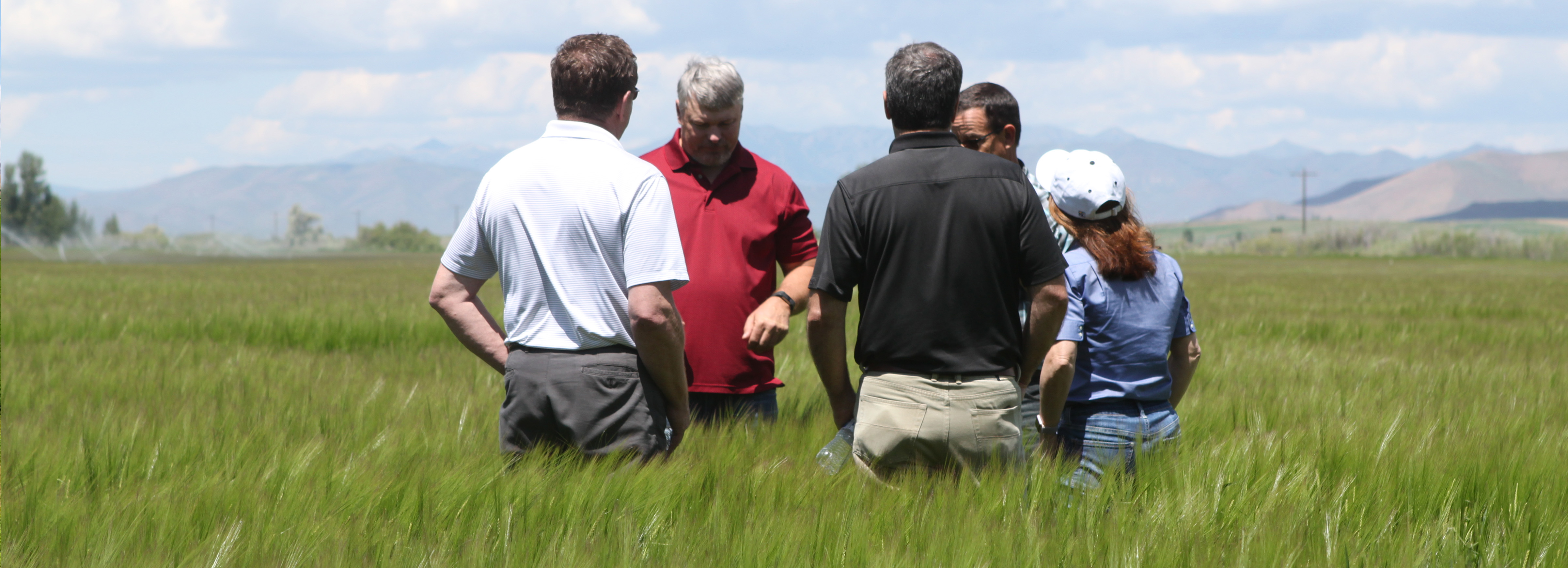 Idaho Farm Bureau Federation