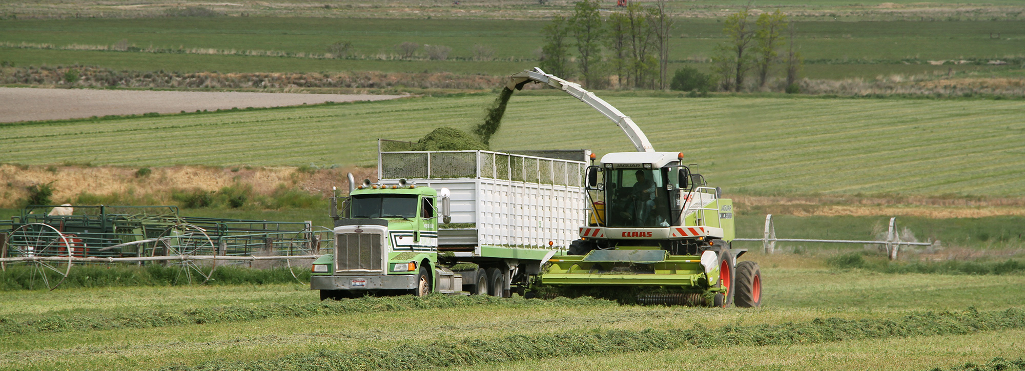 Idaho Farm Bureau Federation