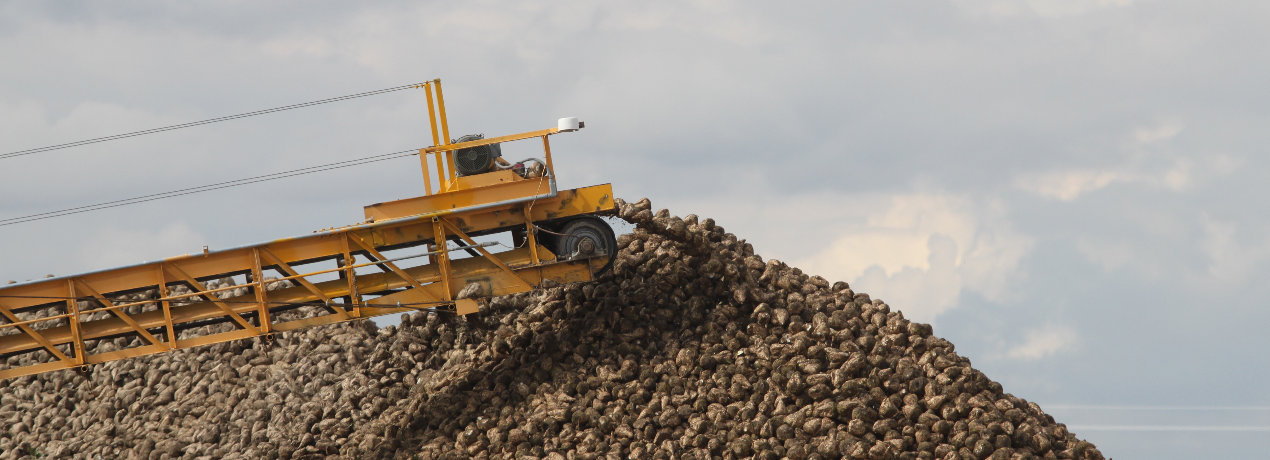 Idaho Farm Bureau Federation