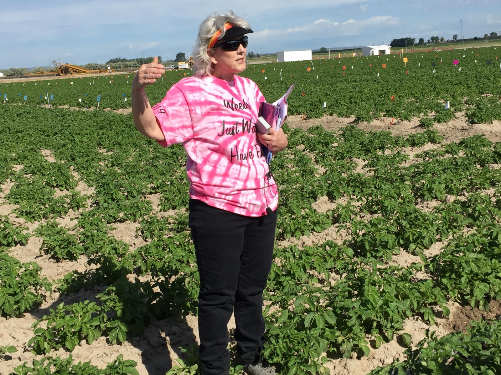 Weed scientist Pamela Hutchinson discusses her herbicide trials at the University of Idaho’s Aberdeen Research & Extension Center during the annual Snake River Weed Management Tour.