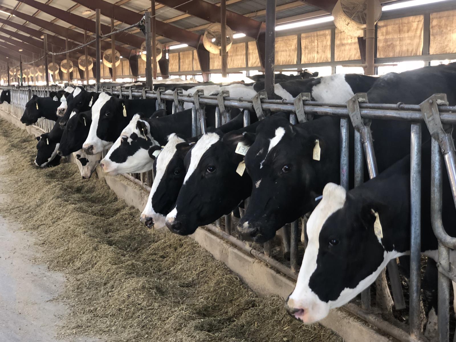 The global milk supply is tight and farm-level milk prices are up, but so are production costs for Idaho dairy operators.