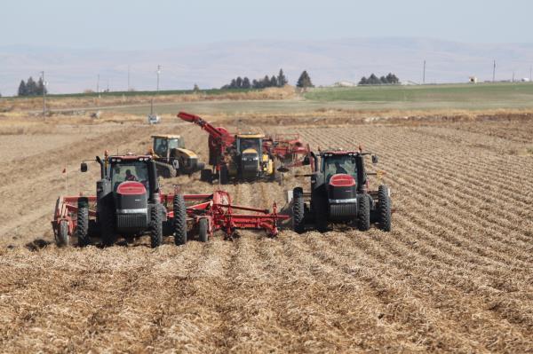A potato field is harvested in southeast Idaho in September. The total value of Idaho farm exports is ticking up.
