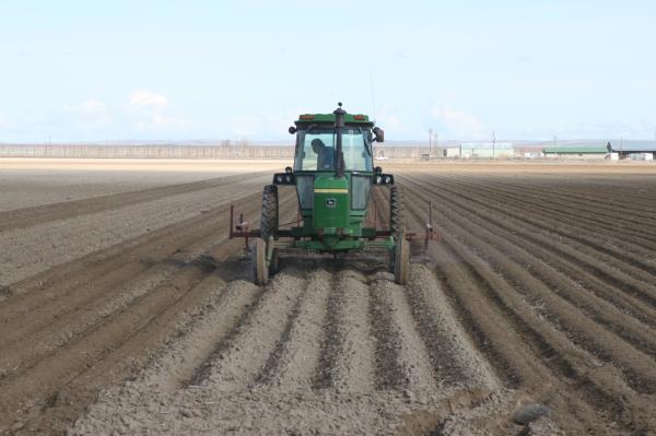 A field near Wilder is prepared to be planted with mint last month. Total Idaho agricultural export value increased 2 percent last year compared with 2017. 
