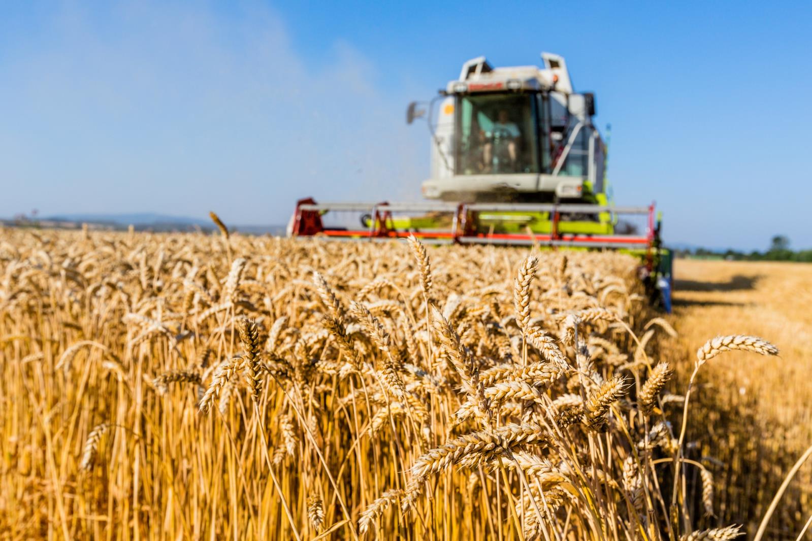 US farmers hope the passage will bring a huge economic boost to a flat US Farm economy.