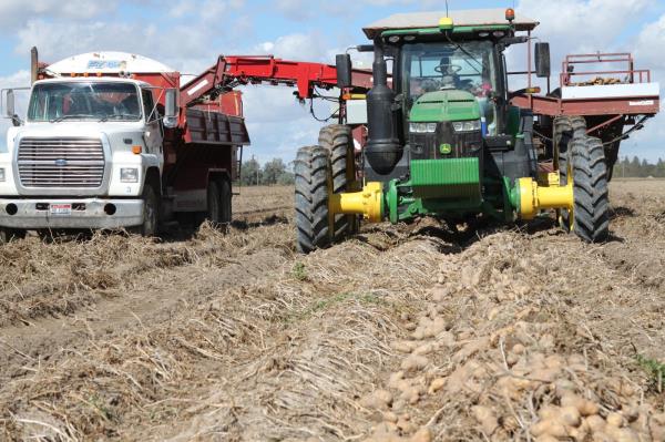 University of Idaho agricultural economists expect Idaho’s total net farm income in 2019 to rise slightly as well.