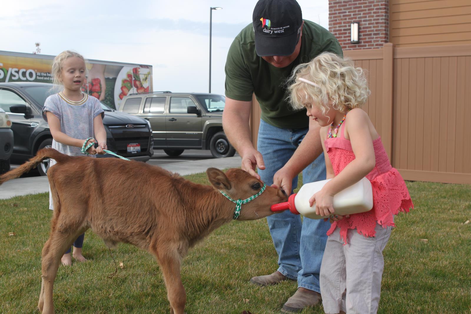 Meridian dairyman Clint Jackson helps a girl feed a calf Oct. 24 at Smoky Mountain Pizzeria Grill in Kuna.