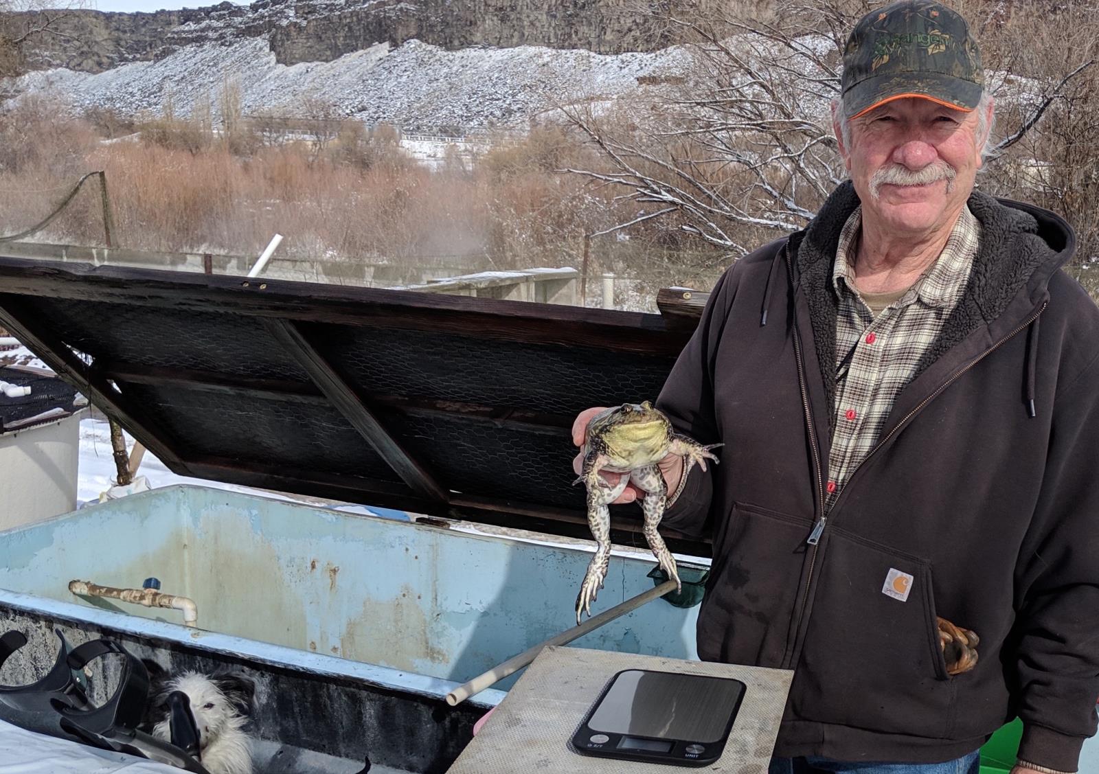 Steve Rivas raises bullfrogs for medical research.