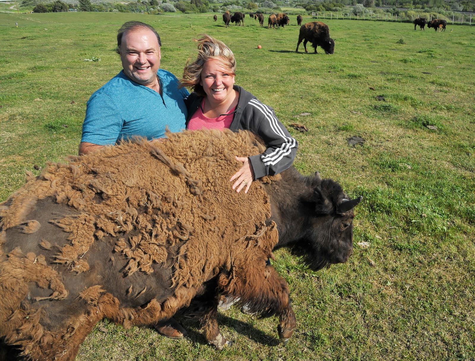 Robert and Jenny Perkins try to fend off a bottle-fed bison named “Trooper” at their 120-acre ranch near McCammon, where they have nearly 50 bison. Some of their ranch’s bison can be seen in the TV series “Yellowstone.”