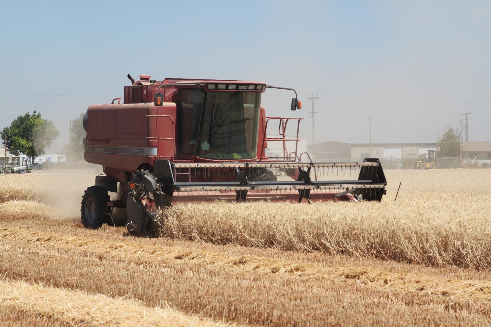 Wheat is harvested in a southwestern Idaho field in 2018. Wheat is the top crop in the Pacific Northwest if you combine Idaho, Oregon and Washington. 