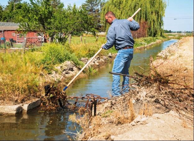 Mark Zirschky, Pioneer Irrigation District water superintendent, clears trash and