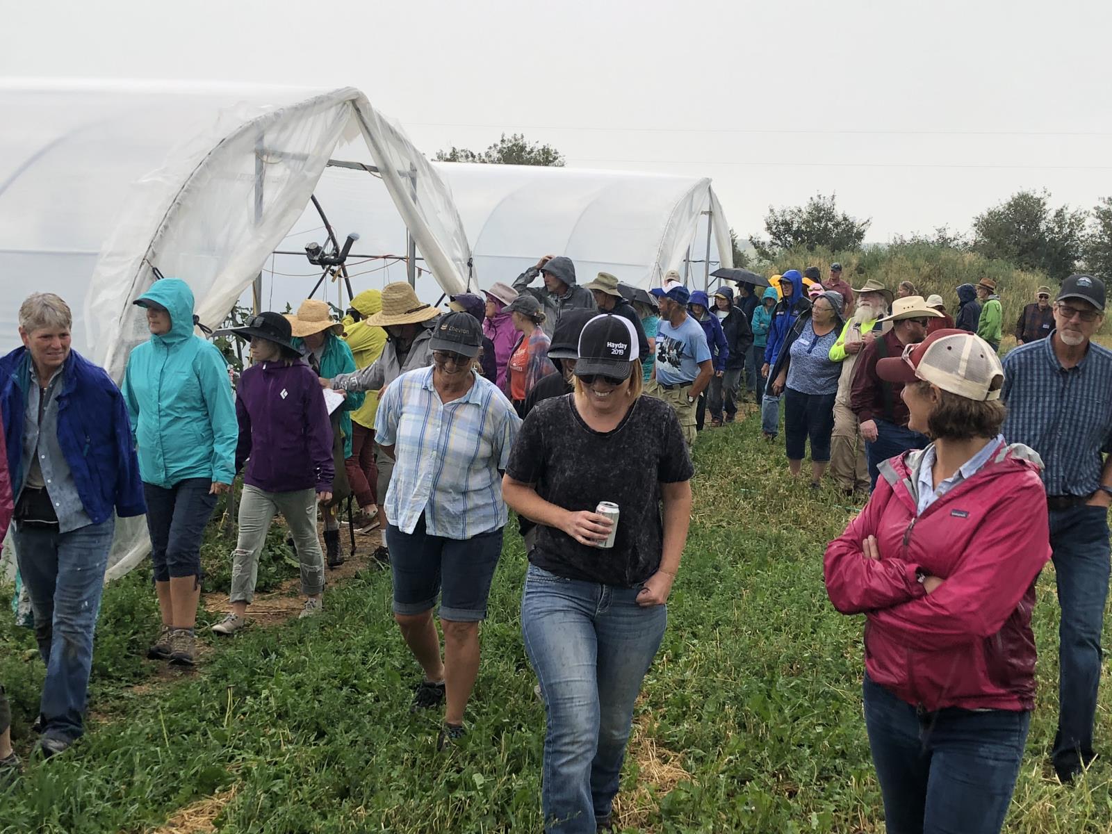 Teton County residents visit an organic farm Aug. 8 during the Teton Farm & Agricultural Tour, which showed community members how farmers, ranchers and conservation groups are working together on natural-resource related projects that benefit the soil and water.