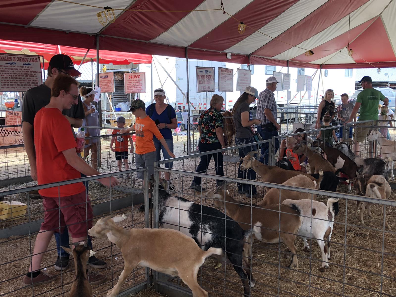 People visit a petting zoo during the recent Eastern Idaho State Fair in Blackfoot. Idaho Farm Bureau Federation helped sponsor the display, which used animals to help educate people about agriculture. 