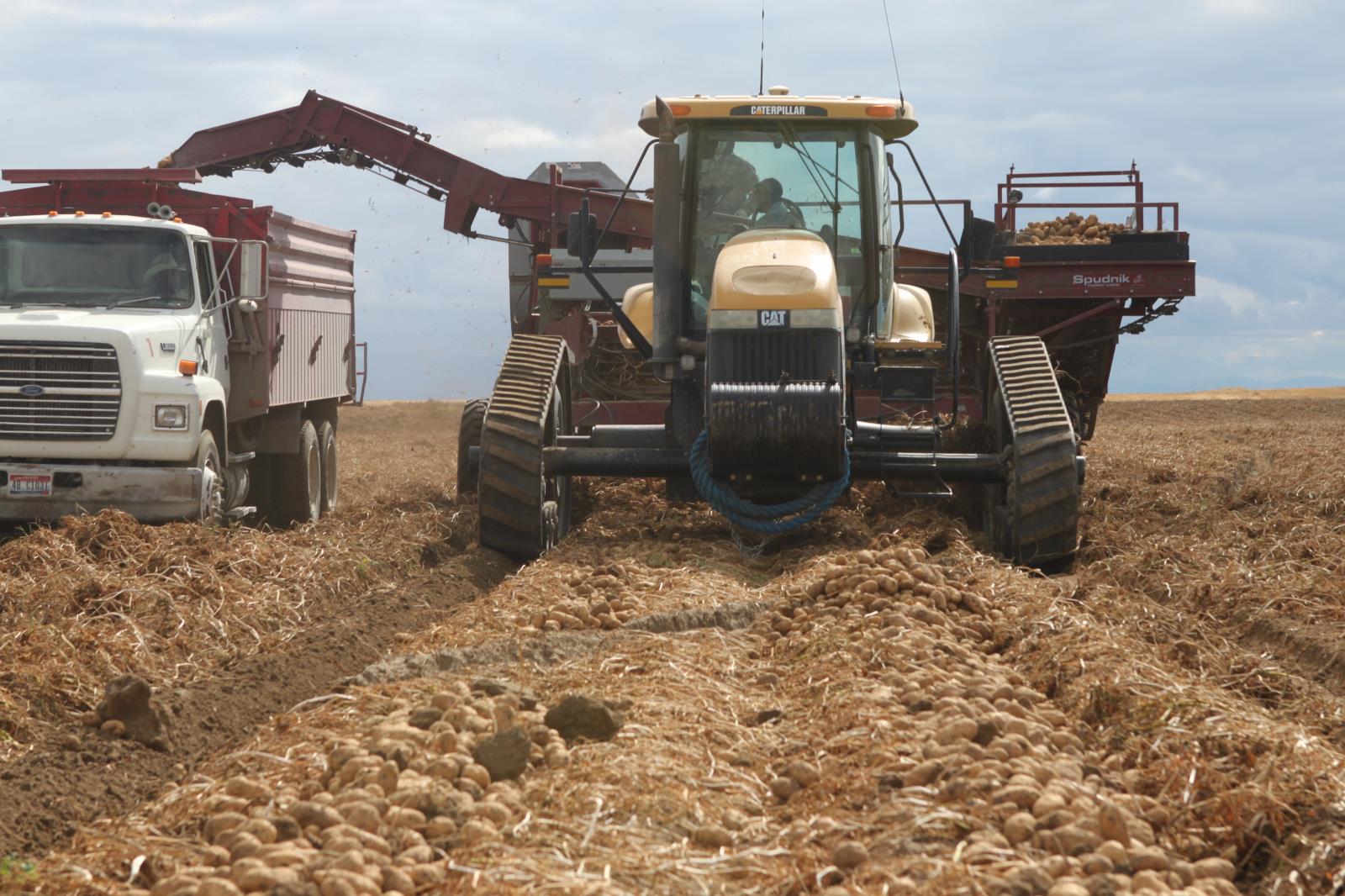 Potatoes are harvested in a field in Bingham County, Idaho, last year. The total value of Idaho’s 2018 potato crop has been valued at $1.03 billion. 