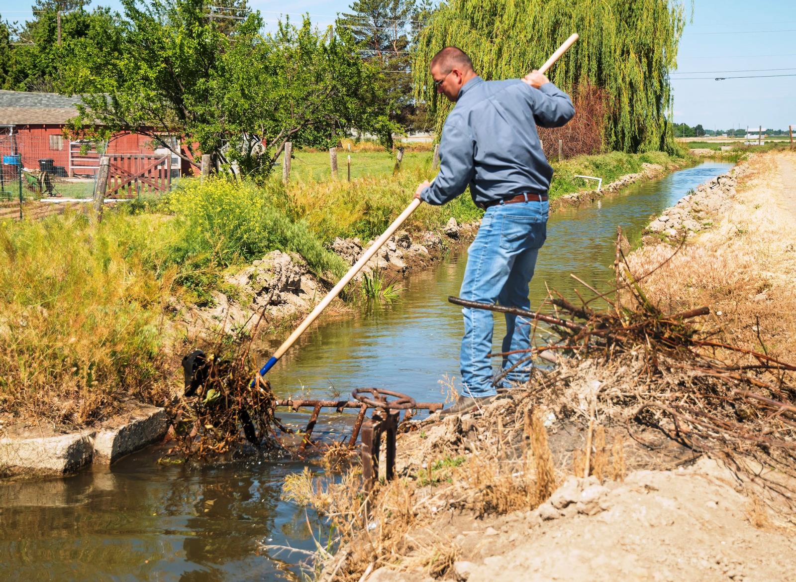 Mark Zirschky, Pioneer Irrigation District superintendent, clears trash and debris from a weed rack on a small canal in Canyon County.