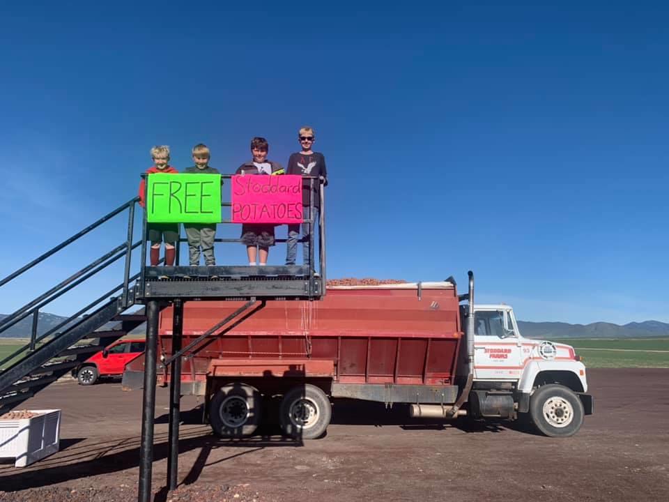 The Stoddard children hold up signs to alert passing motorists of free red seed potatoes at their Caribou County farm.