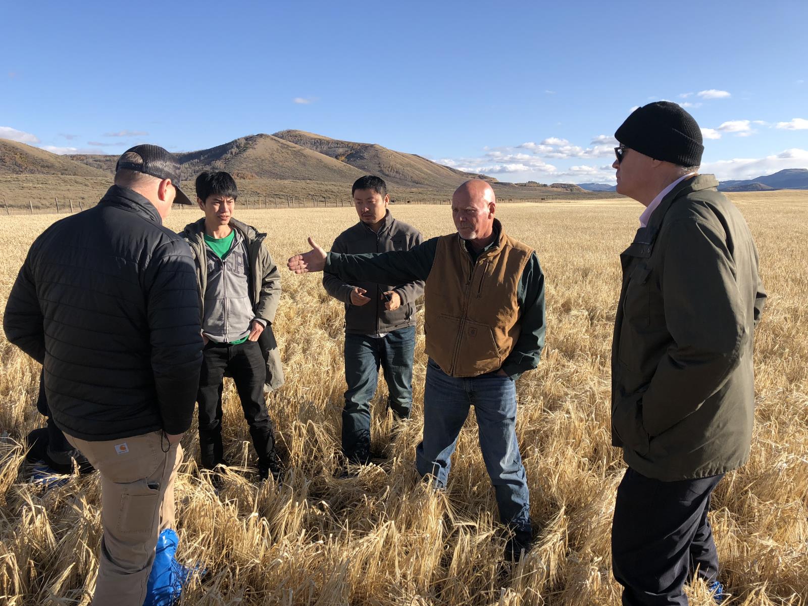 Soda Springs farmer Scott Brown, second from right, shows members of a Chinese malt barley trade team an unharvested barley field last October. China recently opened its doors to U.S. barley. 