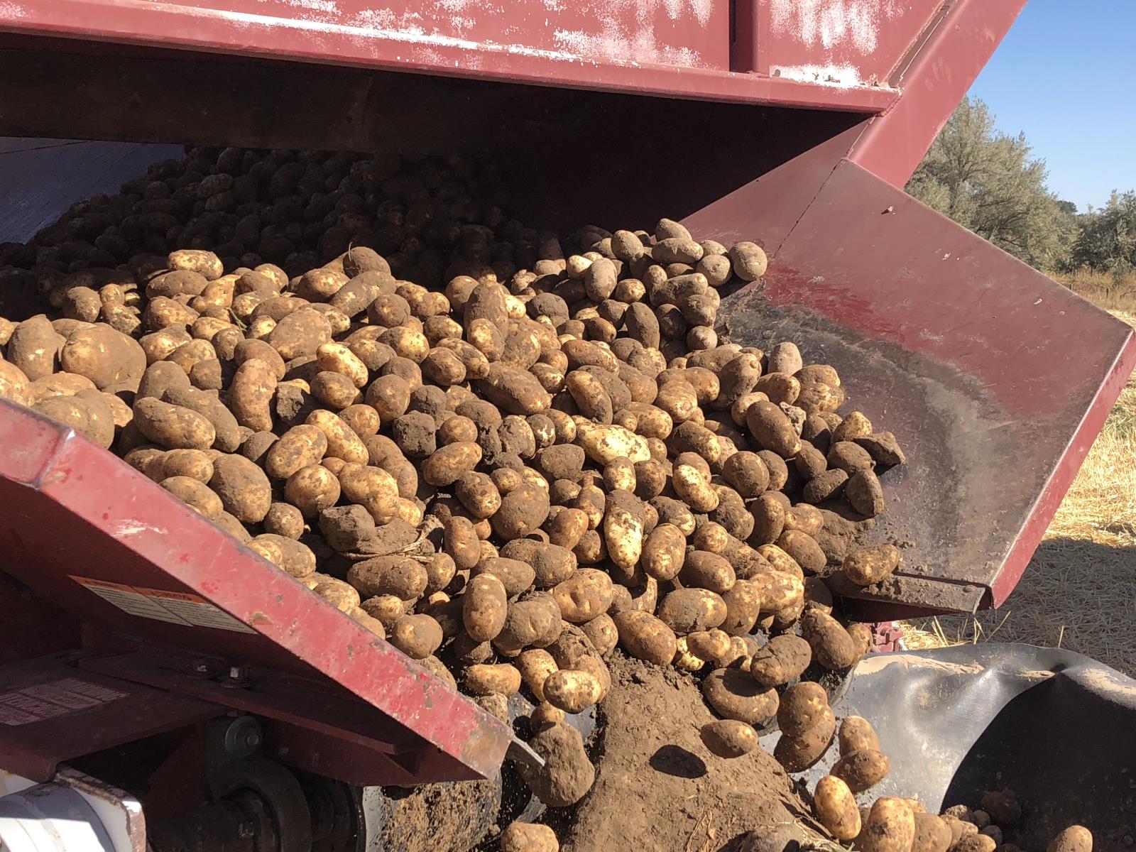 State and national potato industry groups are pushing to make a major coronavirus farm relief program more equitable for fruits and vegetables, including spuds.