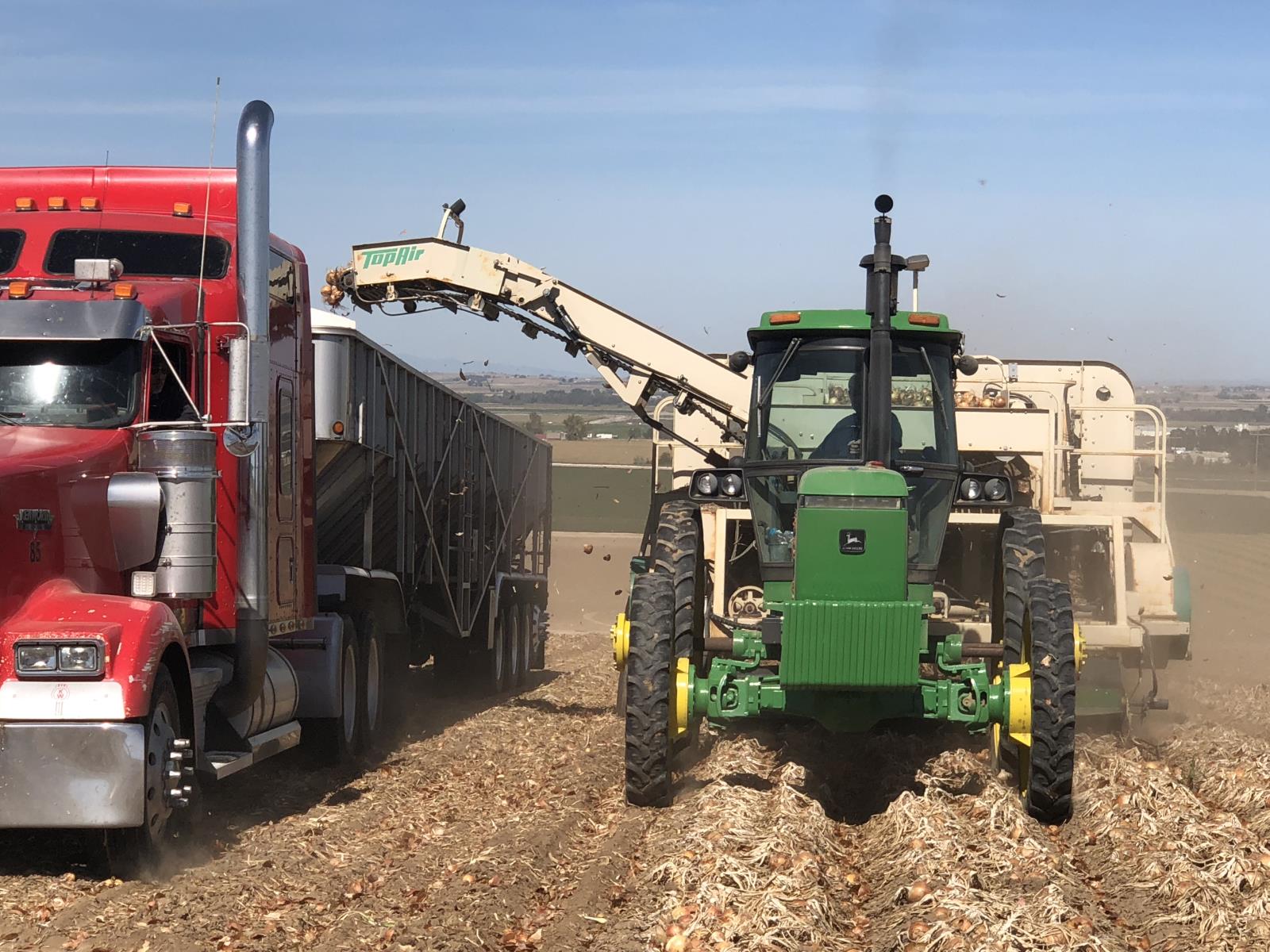 An onion field is harvested in a field in southwest Idaho last year. USDA’s Economic Research Service estimates that total net farm income in the United States will increase by 23 percent in 2020.