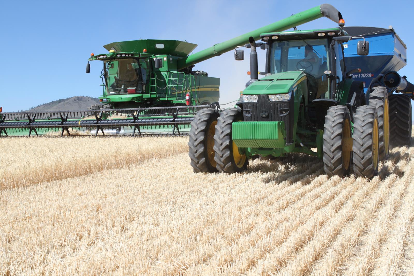 Barley is harvested in a field near Soda Springs in September. USDA’s second round of coronavirus farm relief payments are expected to help more Idaho farmers, including barley producers. 