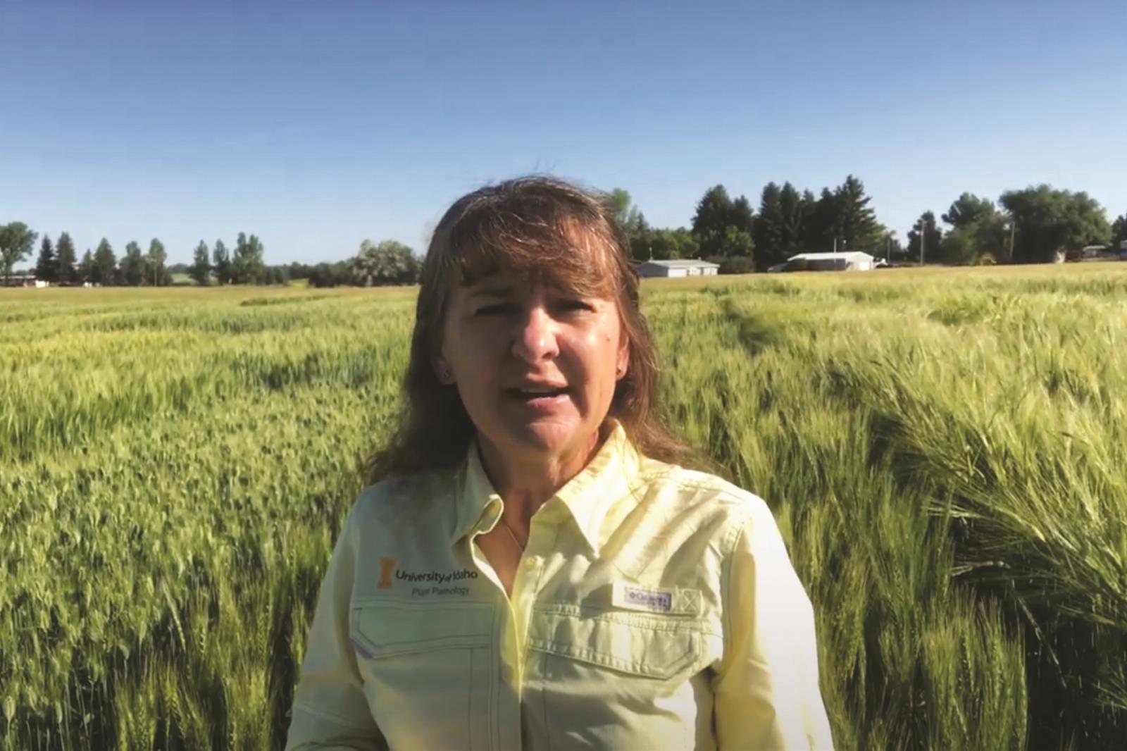 University of Idaho plant pathologist Juliet Marshall speaks about her ongoing agricultural research during a virtual field day event she recorded this summer. UI researchers have not been able to conduct in-person field days this year so they have created virtual field days that can be viewed online. 