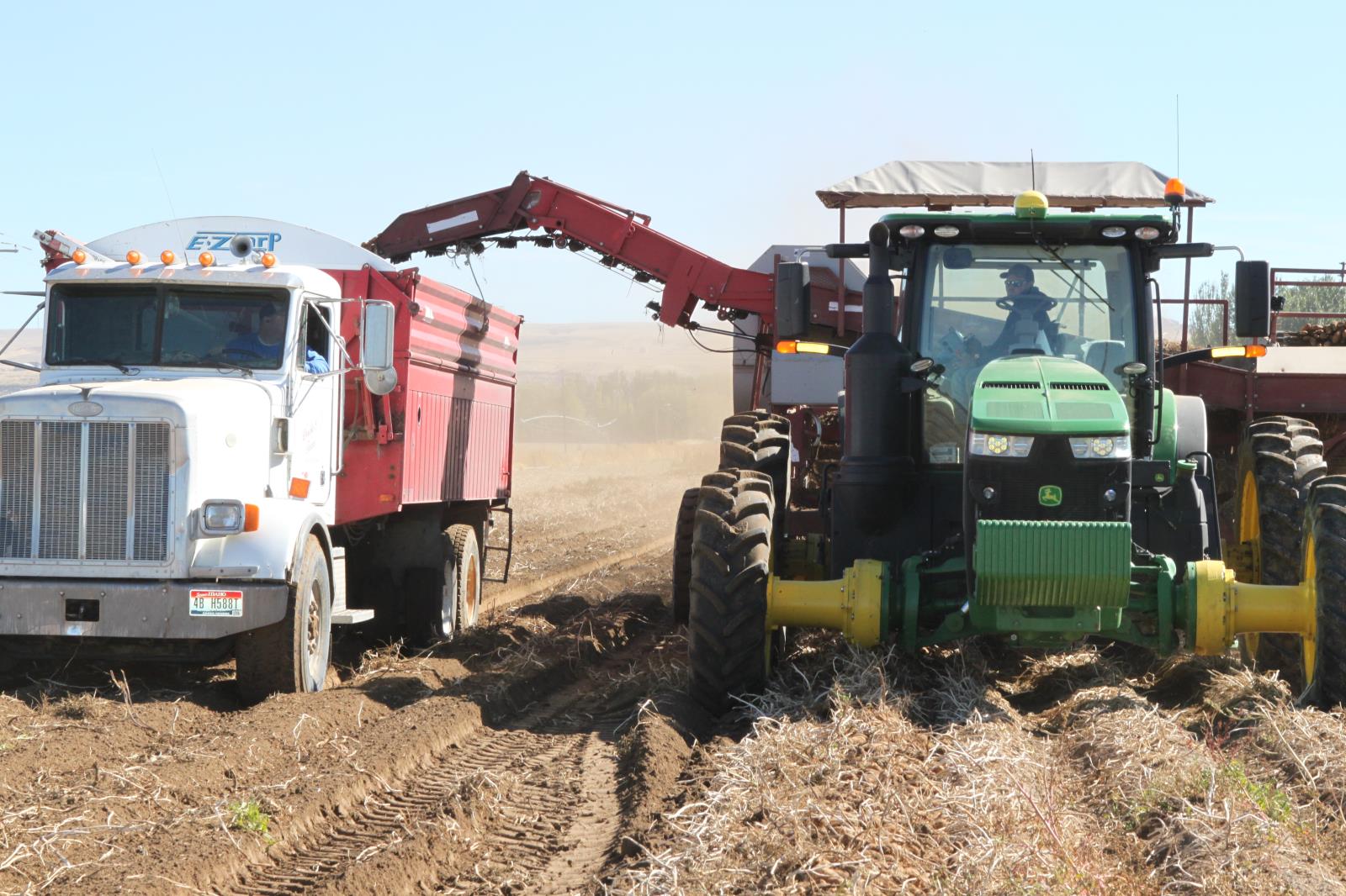 Potatoes are harvested in a field near Shelley. The total value of agricultural production in Idaho has increased 6 percent last year compared with 2018.  