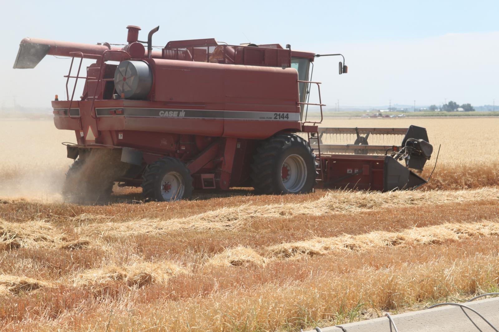 Wheat is harvested in a southwestern Idaho field in this Idaho Farm Bureau file photo. According to USDA, the total value of Idaho ag exports in 2019 was $2.26 billion, up 9 percent over 2018. Idaho wheat exports were up 18 percent last year while dairy exports rose 13 percent.