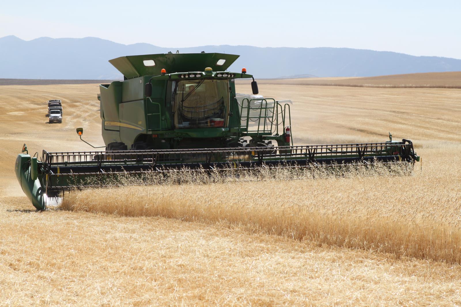 Barley is harvested in a field near Soda Springs last year. Idaho barley farmers set a record for average yield per acre in 2020. 