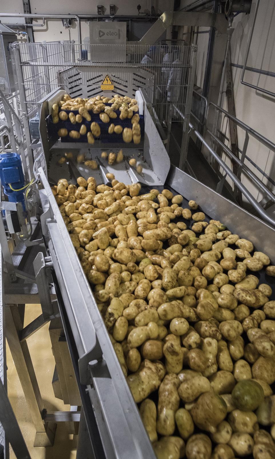 Potatoes come out a machine after undergoing through a “pulse electric field” process. A Boise State University researcher and Boise-based company have received a grant that will help them try to refine an existing technology that could help the potato chipping industry. 