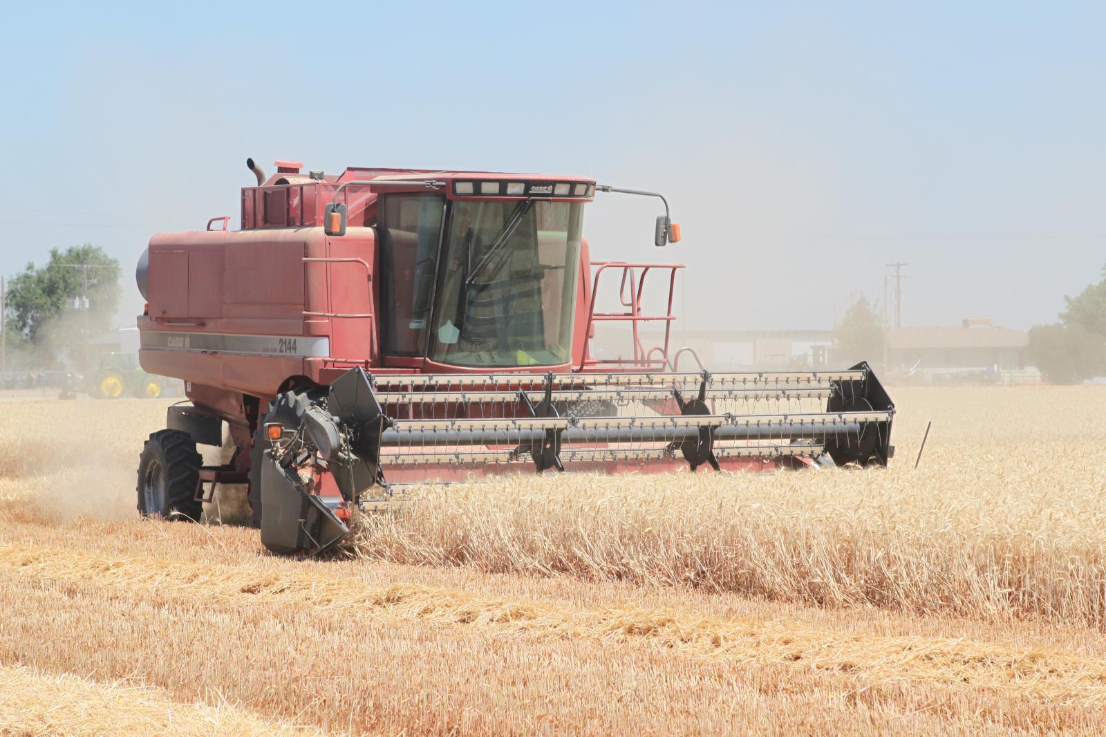 Wheat is harvested in a field near Nampa in this Idaho Farm Bureau Federation file photo. University of Idaho researchers are working to update their Idaho barley and wheat production guides and are asking farmers to fill out a survey to help them accomplish that. 
