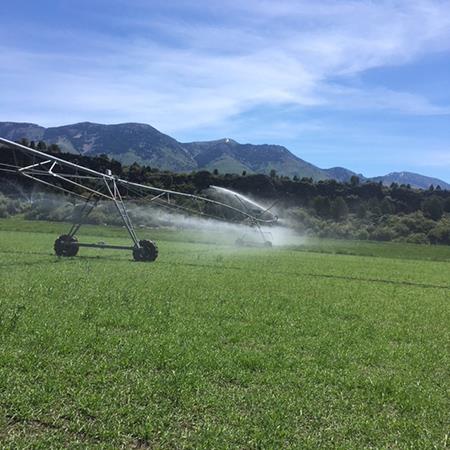 Pasture owned by Jim Guthrie is irrigated in Inkom with water from the Portneuf River. Guthrie is among irrigators in the Portneuf watershed who are now coping with a water call. 