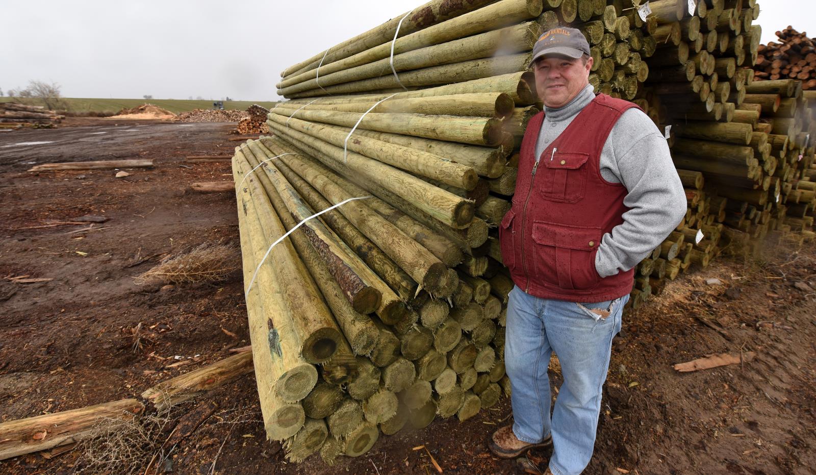 Mike Sterling, owner of Parma Post & Pole, stands next to treated hop poles in the lumber yard.