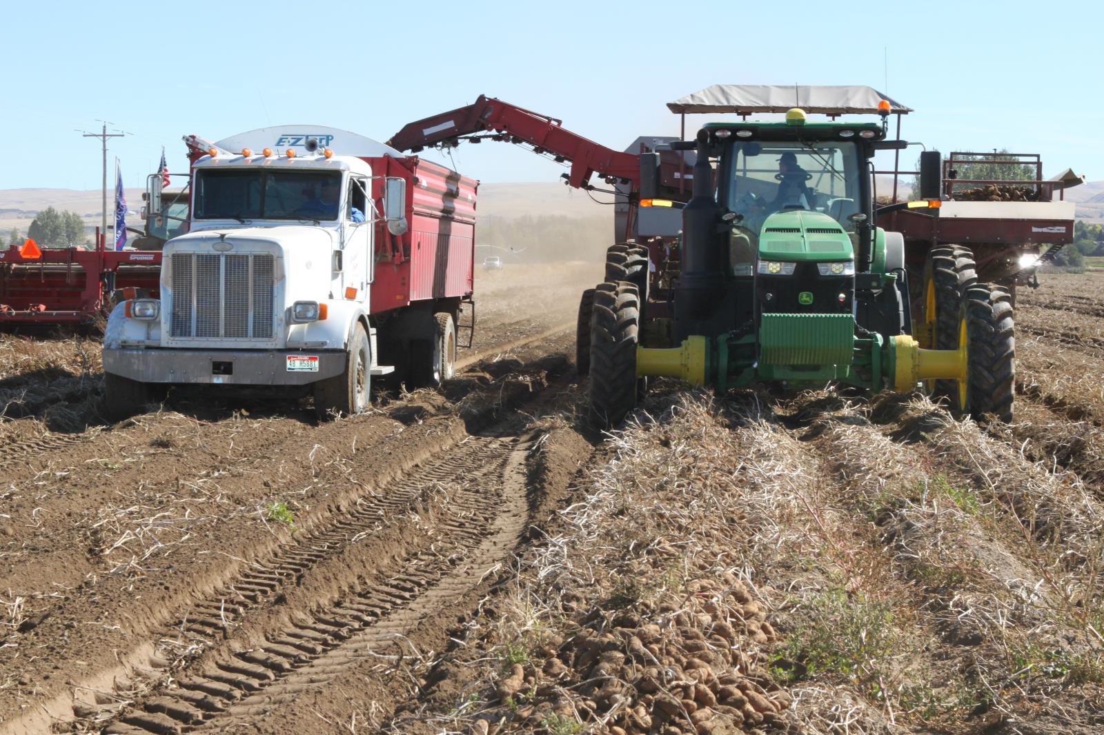 Potatoes are harvested in a Bingham County field in this Idaho Farm Bureau Federation file photo. Farm-level potato prices are up but the cost of production for farmers is also up, significantly.