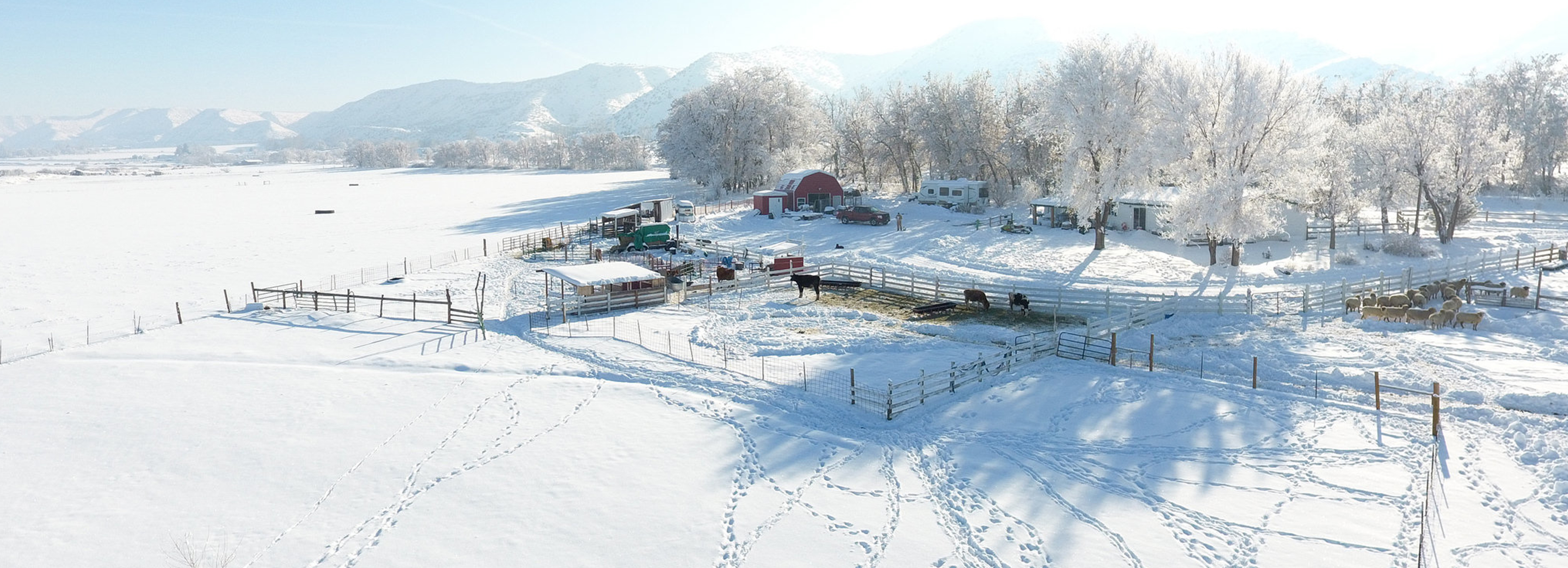 Idaho Farm Bureau Federation