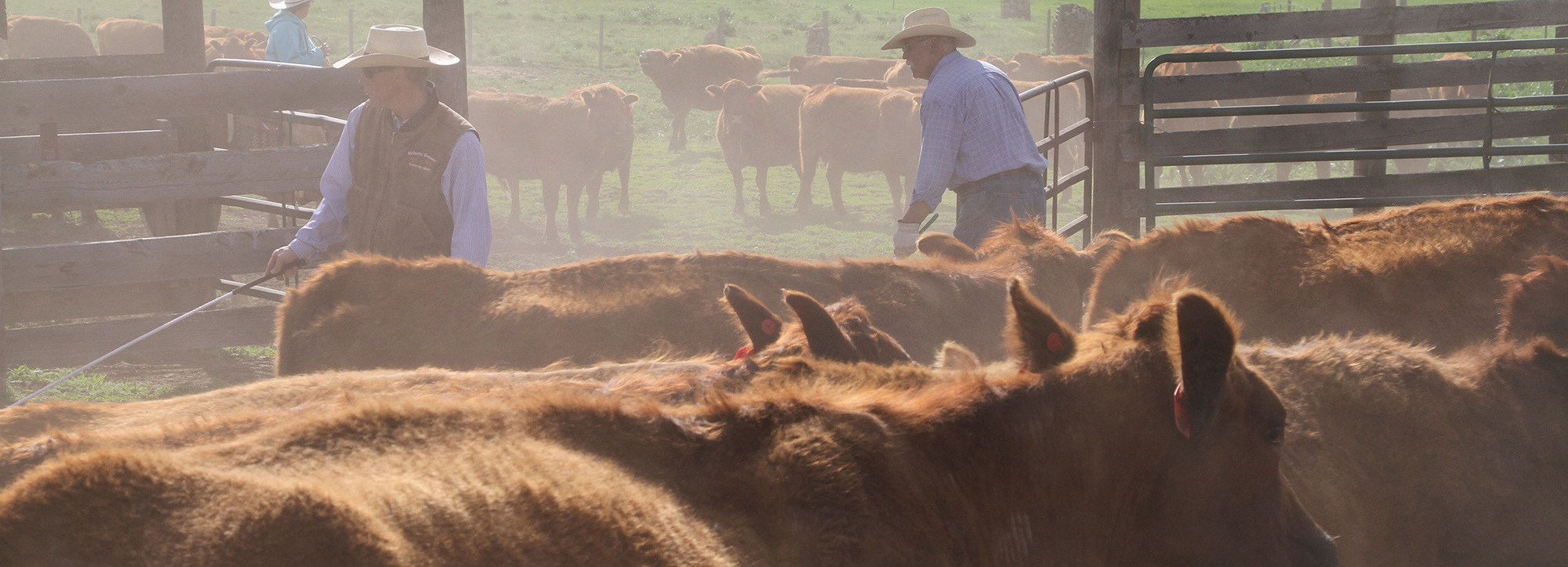 Idaho Farm Bureau Federation