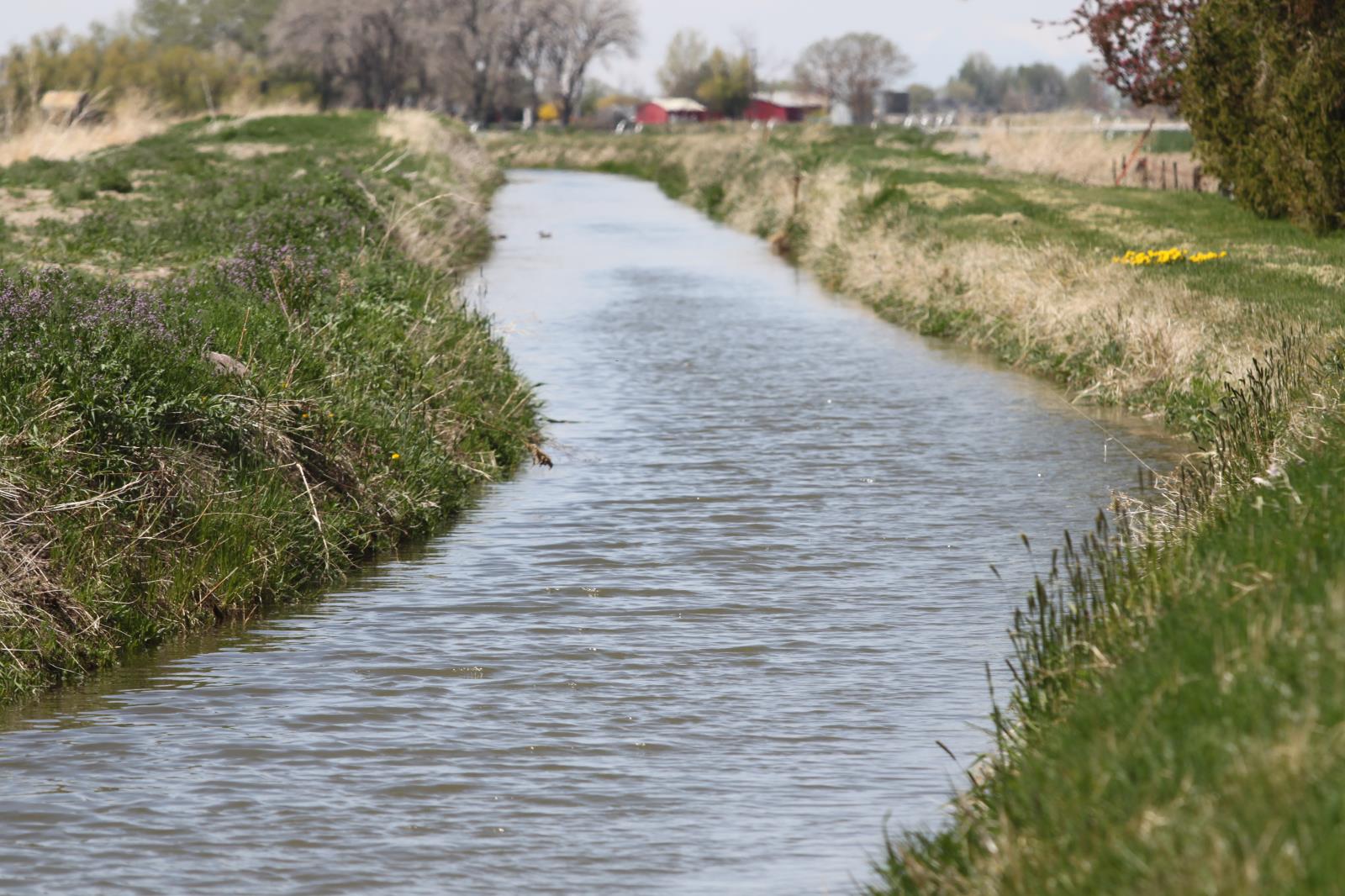 Aquifer recharge efforts are paying dividends for East Idaho canal companies and the irrigators that depend on them. 
